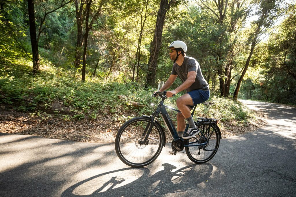 Medeo T10+ Class 3 Ebike