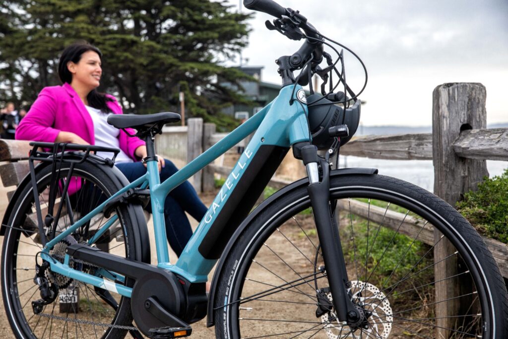 Medeo T10 Allround Ebike