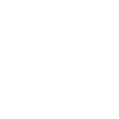 Snelle e-bikes