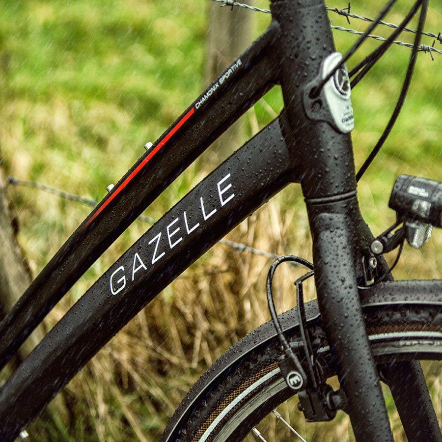 Que vous vous rendiez au travail à vélo ou que vous soyez amateur de longues balades, aucune distance n’est trop grande pour le Chamonix.