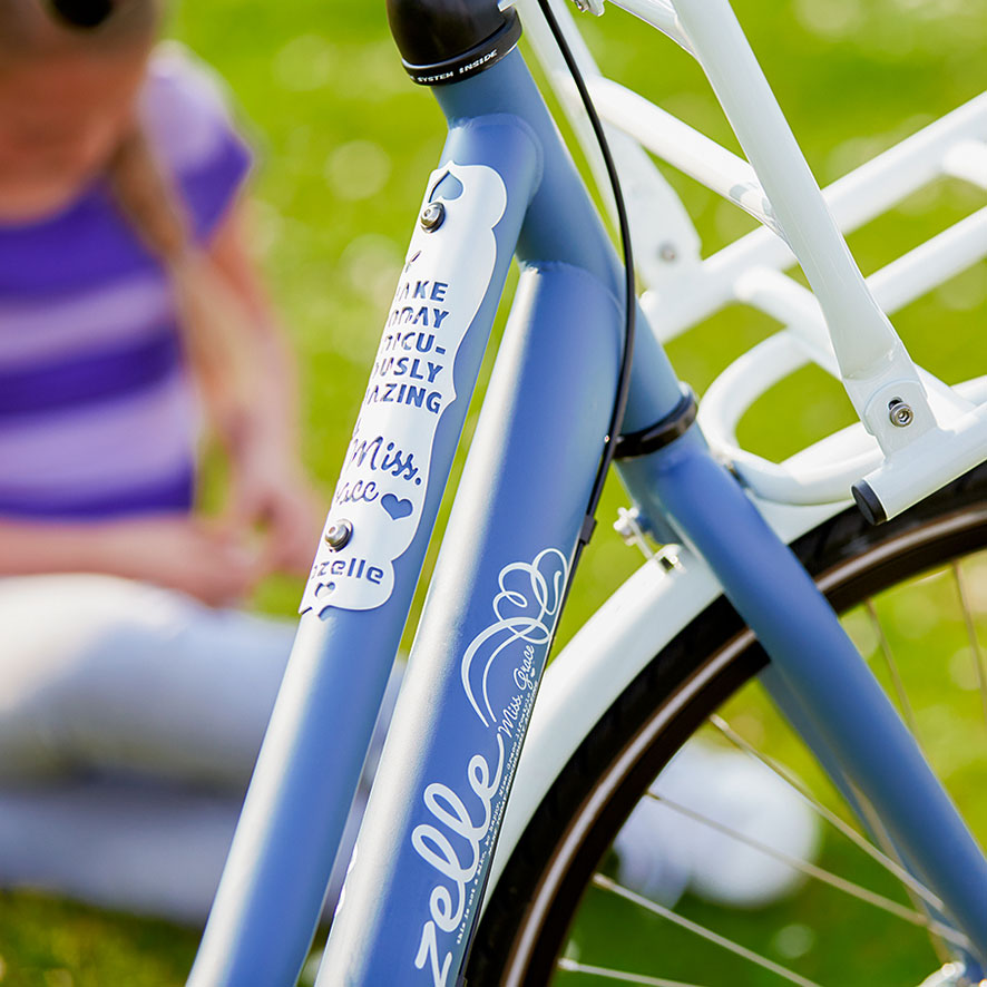 Gazelle Bikes Buyer S Guide Reviews Tips