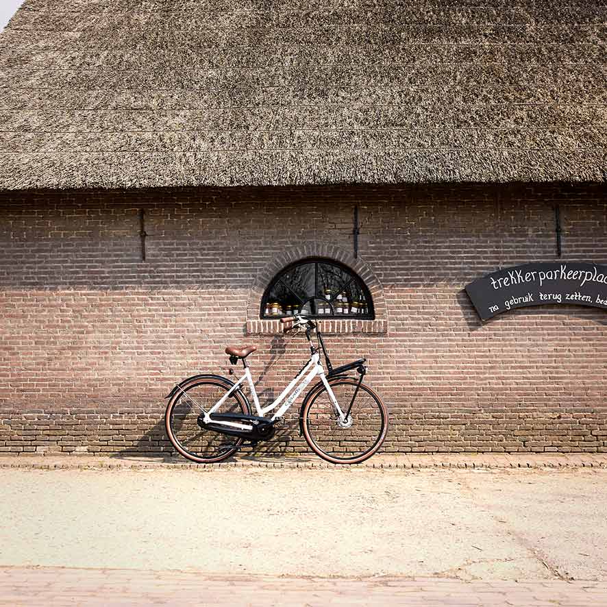 The delivery bike for women is robust and elegant.