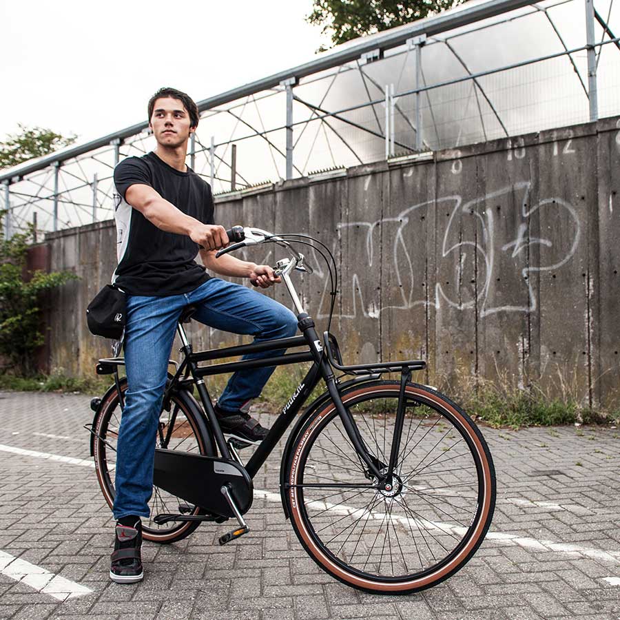 gazelle e bike puur
