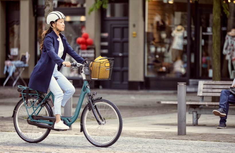 Gazelle Easyflow