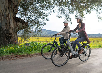 Get back in the e-bike saddle