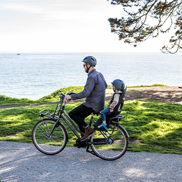 gazelle heavy duty electric bike