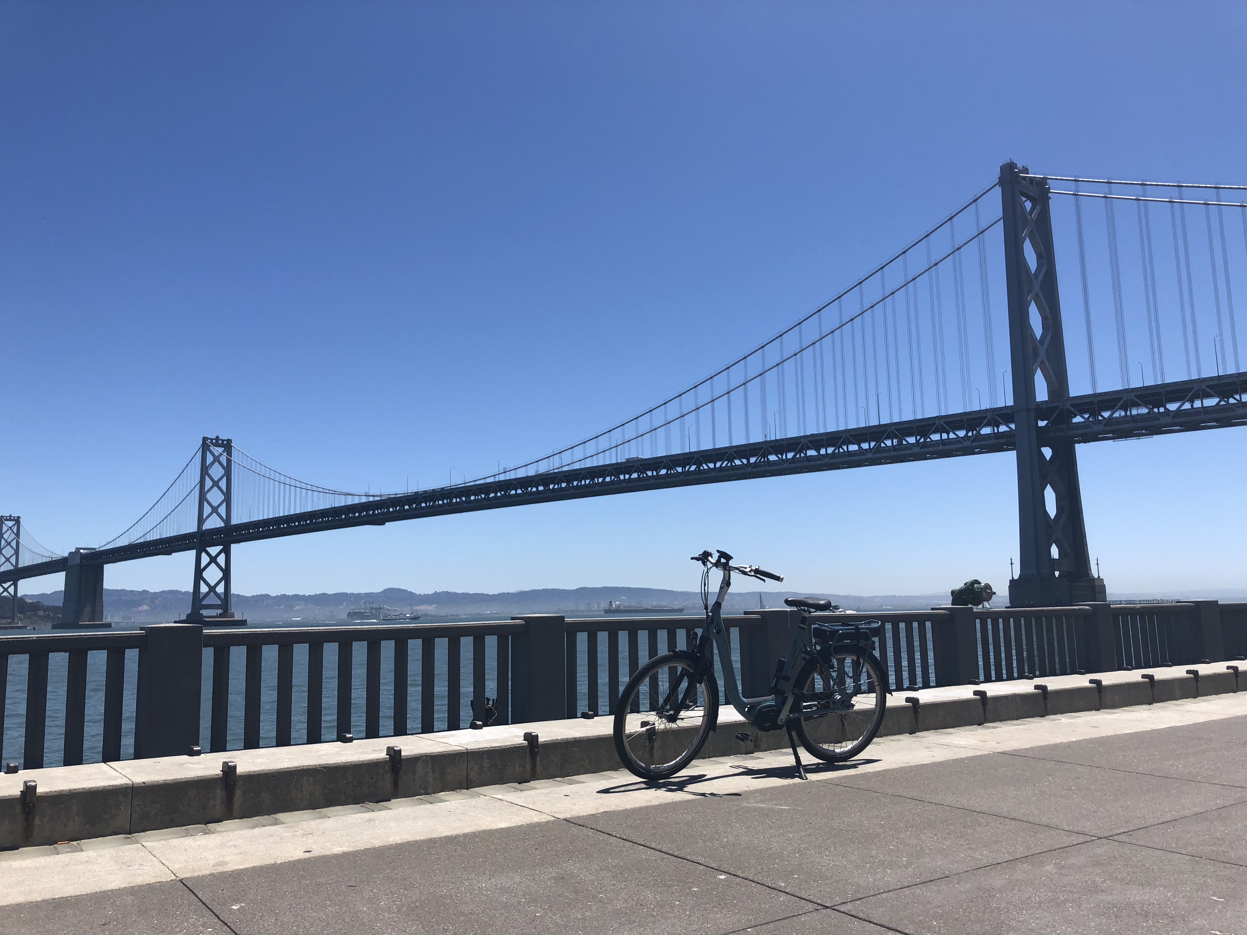 Ami San Fransisco ambassador