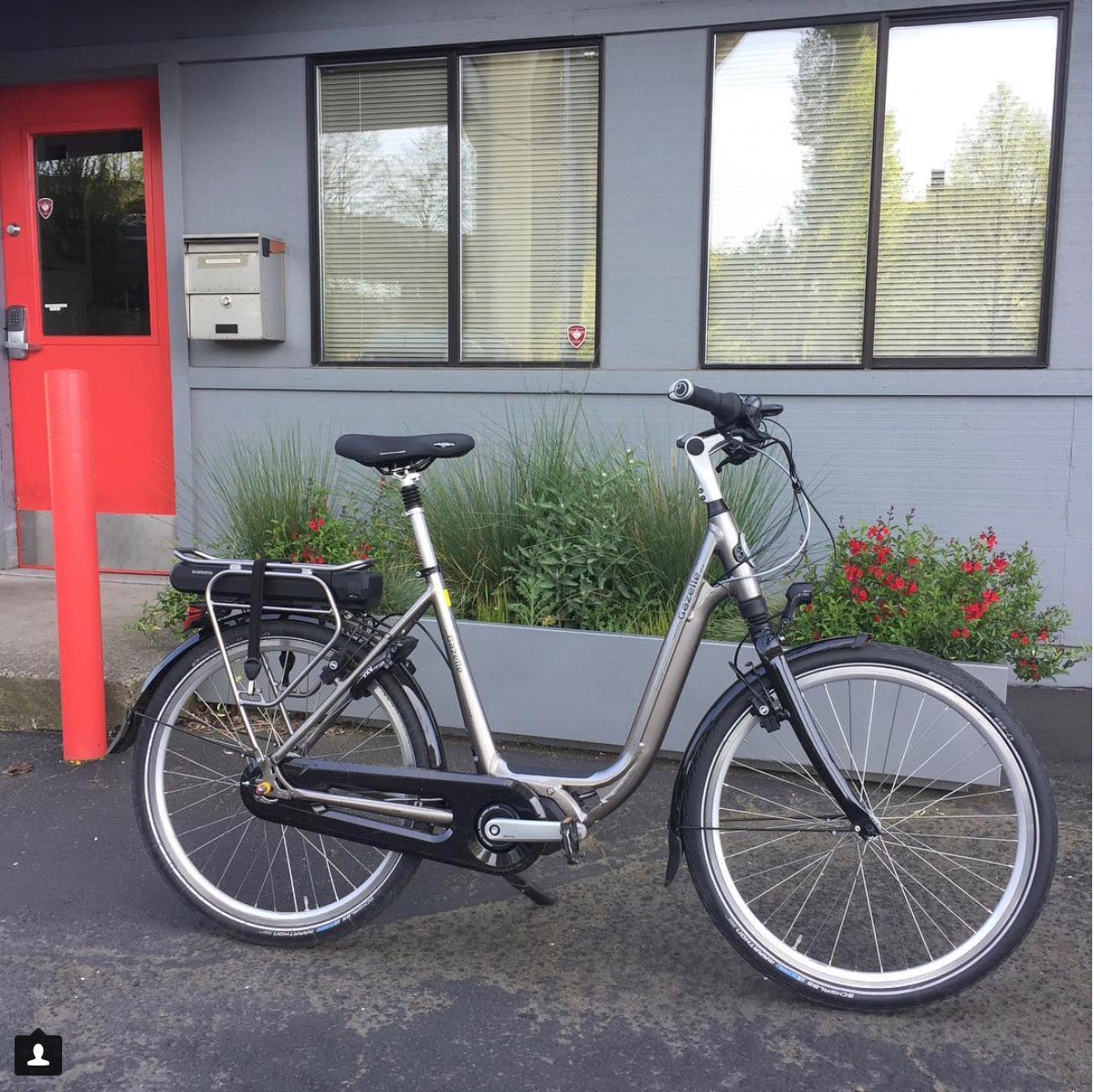Portland Ambassador #1