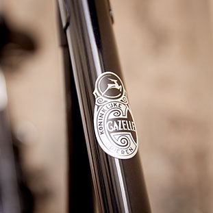 Please refer to the FAQs about the following, amongst other things: Electric bikes, warranty, technology, lead time, maintenance and specifications for our Gazelle bikes.