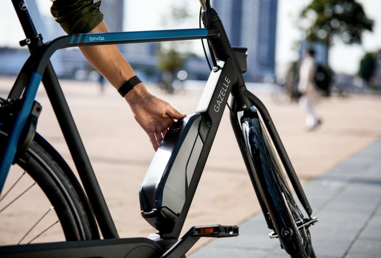 Gazelle batteri
