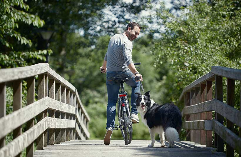 A smart combination of Shimano gears and a high-grade front fork mean you will always be ready to face any challenge.